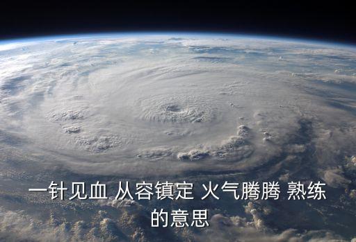 一針見血 從容鎮定 火氣騰騰 熟練 的意思