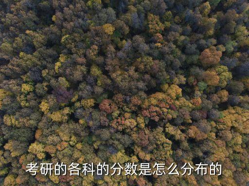 考研的各科的分?jǐn)?shù)是怎么分布的