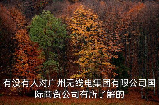 有沒有人對廣州無線電集團(tuán)有限公司國際商貿(mào)公司有所了解的