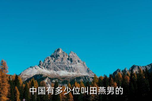 中國有多少位叫田燕男的