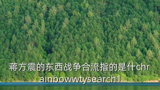 蔣方震，結(jié)合抗日戰(zhàn)爭時期的國際形勢分析蔣方震提出的抗戰(zhàn)要拖到東西