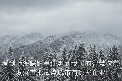 看到上海踩踏事件想到我國(guó)的智慧城市發(fā)展首批試點(diǎn)城市有哪些企業(yè)