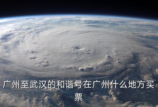 廣州至武漢的和諧號(hào)在廣州什么地方買(mǎi)票