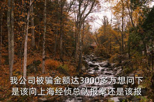 上海市奉賢區經偵總隊，想知道 上海市 上海經偵總隊五支隊 在哪