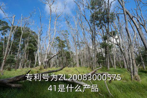 專利號為ZL2008300057541是什么產(chǎn)品
