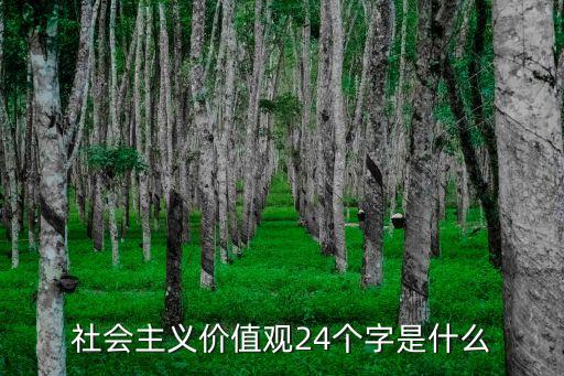 24字核心價值觀，如何倡導24字核心價值觀弘揚社會正能量
