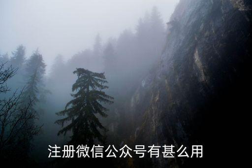 微信公眾號的作用，注冊微信公眾號有甚么用