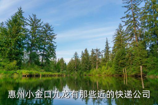 廣州惠州市小金口九龍村，從東莞塘廈收費站這里去惠州小金口九龍村怎么走