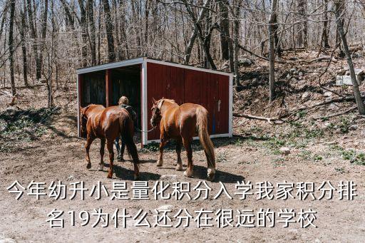 今年幼升小是量化積分入學我家積分排名19為什么還分在很遠的學校