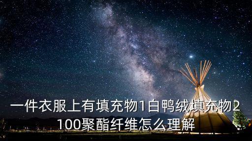 一件衣服上有填充物1白鴨絨填充物2100聚酯纖維怎么理解