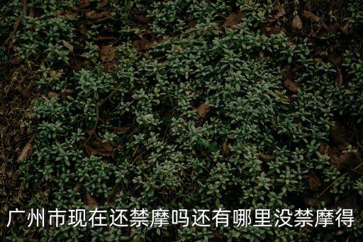 廣州香雪禁摩嗎，廣州市區(qū)禁摩托車嗎