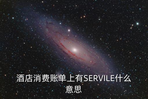 酒店消費賬單上有SERVILE什么意思