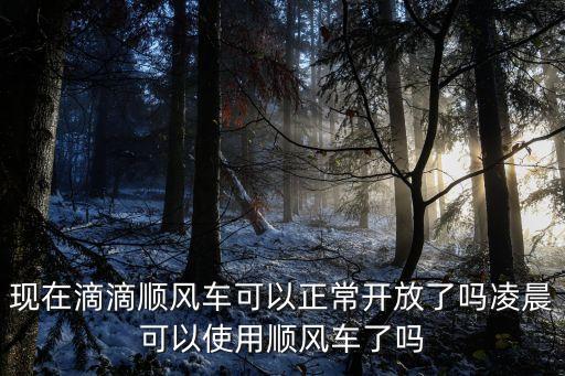 現(xiàn)在滴滴順風(fēng)車可以正常開(kāi)放了嗎凌晨可以使用順風(fēng)車了嗎