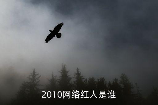 2010網絡紅人是誰