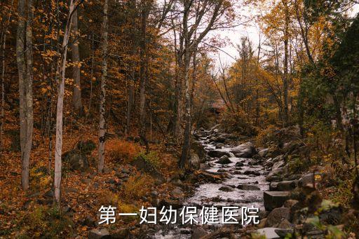 第一婦幼保健醫(yī)院