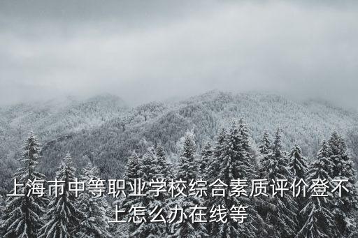 上海市中等職業(yè)學(xué)校綜合素質(zhì)評價登不上怎么辦在線等