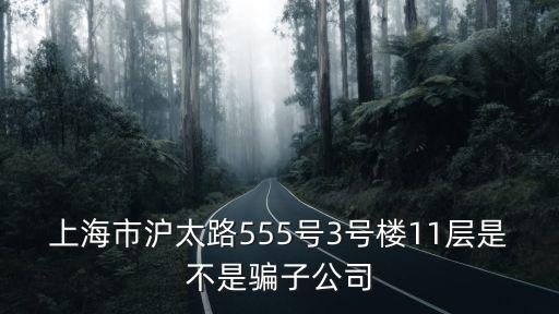 上海市壽陽路555號3號樓，上海市滬太路555號3號樓11層是不是騙子公司