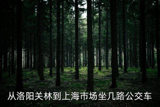 從洛陽關(guān)林到上海市場坐幾路公交車