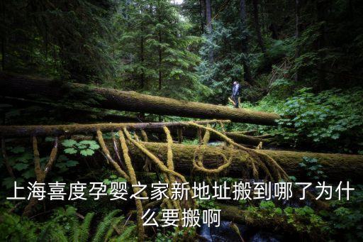 上海喜度孕嬰之家新地址搬到哪了為什么要搬啊