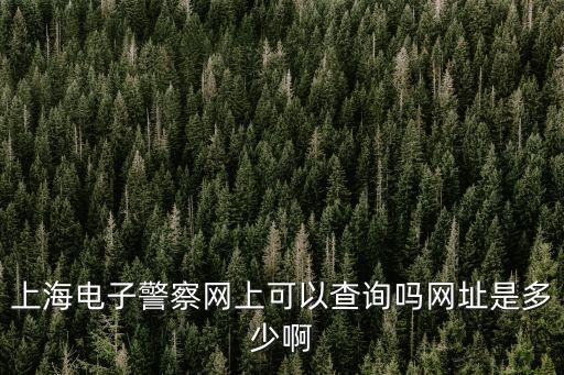 上海電子警察網(wǎng)上可以查詢(xún)嗎網(wǎng)址是多少啊