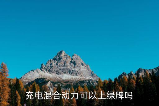 充電混合動力可以上綠牌嗎