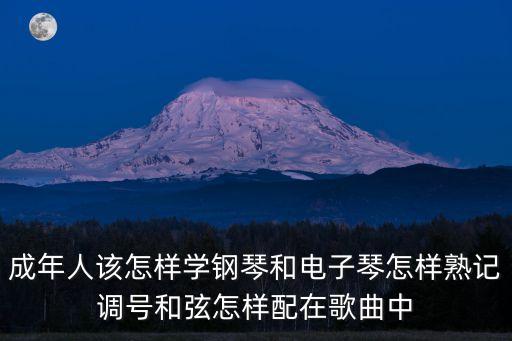 一路學(xué)，沒學(xué)陳氏老架一路直接練老架二路炮錘行嗎