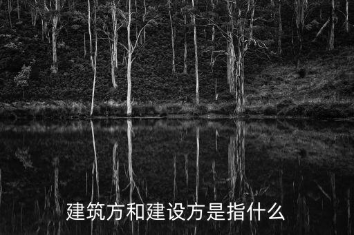 建設方，建設項目工程總承包方什么意思