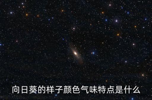 向日葵的味道，向日葵有香氣嗎是什么樣的氣味請描述一下吧