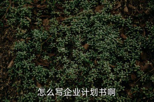 企業計劃書怎么寫，怎么寫企業計劃書啊