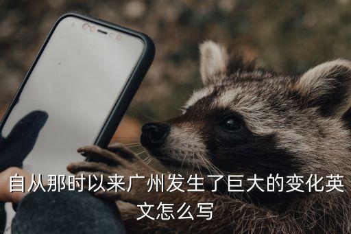 這些年廣州發生了很大的變化翻譯，這些年來廣州的各方面得到迅速發展用英語怎么說