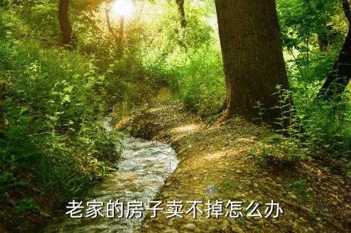 老家的房子賣不掉怎么辦