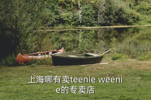 上海哪有賣teenie weenie的專賣店