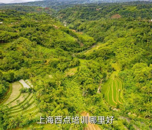 上海市烘焙西點培訓班，上海哪里有開適合上班族的西點烘培課程