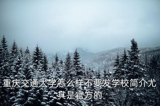 重慶交通大學怎么樣不要發(fā)學校簡介尤其是官方的