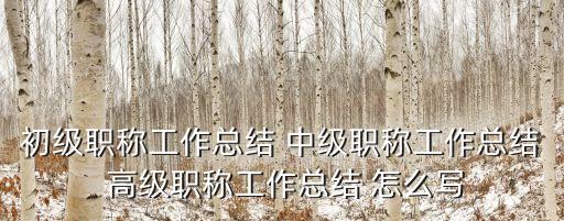 初級職稱工作總結(jié)，初級職稱評審工作總結(jié)問題