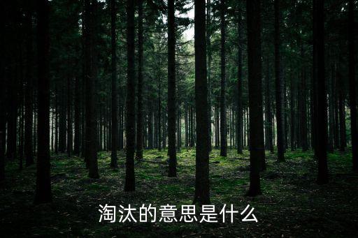 淘汰的意思是什么