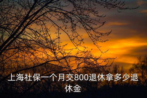 上海市城鎮(zhèn)居民退休金是多少，上海市城鎮(zhèn)居民養(yǎng)老金今年最底是每月多少錢
