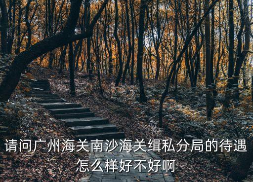 請(qǐng)問廣州海關(guān)南沙海關(guān)緝私分局的待遇怎么樣好不好啊