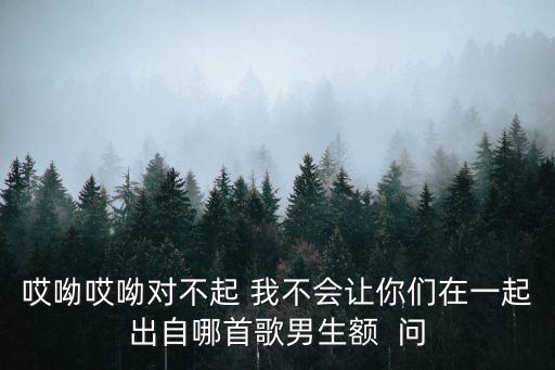 哎呦哎呦對不起，歌詞 哎呦哎呦對不起 我不會讓你們在一起 誰知道這個歌名啊