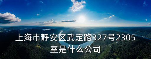 上海市靜安區武定路327號2305室是什么公司