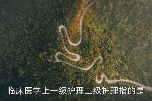 臨床醫(yī)學(xué)上一級護(hù)理二級護(hù)理指的是