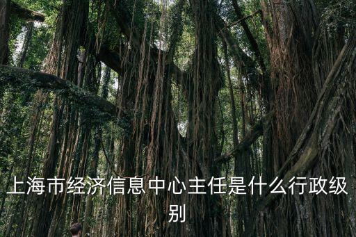 上海市經濟信息中心主任是什么行政級別