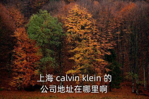 上海 calvin klein 的公司地址在哪里啊