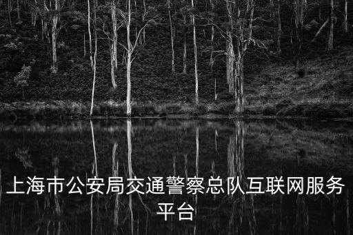 上海市公安局交通警察總隊(duì)互聯(lián)網(wǎng)服務(wù)平臺(tái)