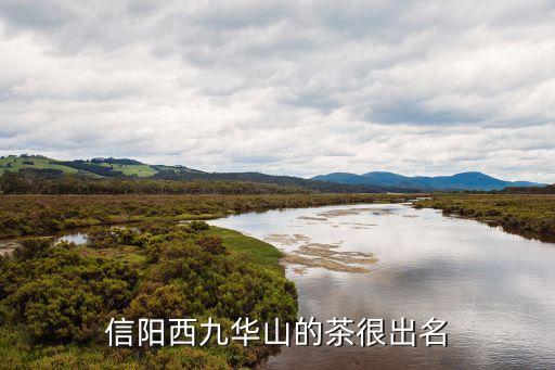 羊艾茶場，信陽西九華山的茶很出名