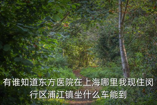 有誰知道東方醫(yī)院在上海哪里我現(xiàn)住閔行區(qū)浦江鎮(zhèn)坐什么車能到