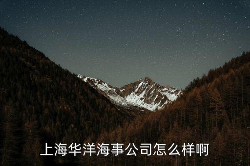 上海市華洋海事，上海華洋海事科技發展有限公司
