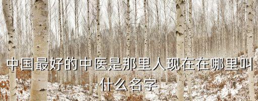 中國最好的中醫是那里人現在在哪里叫什么名字