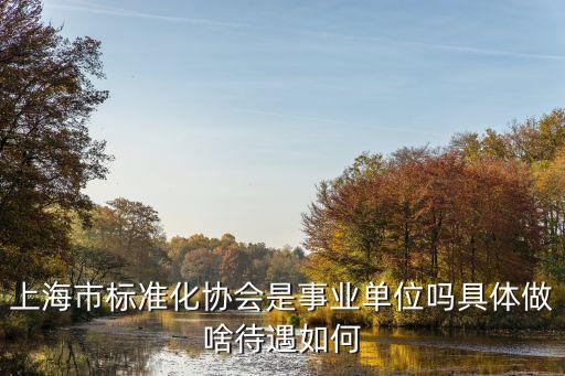 上海市數據標準化，上海移動 移動數據標準資費全費是什么我今天把28元套餐換成