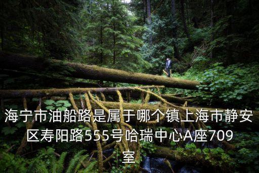 海寧市油船路是屬于哪個鎮上海市靜安區壽陽路555號哈瑞中心A座709室